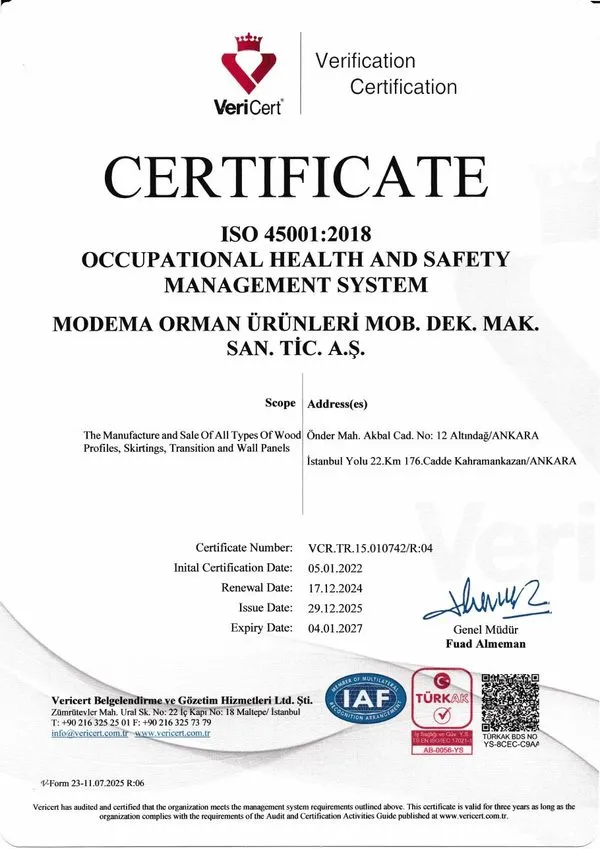 Occupational Health & Safety — cover
